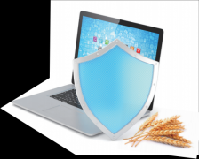 食物平安国度标制施行的尺度